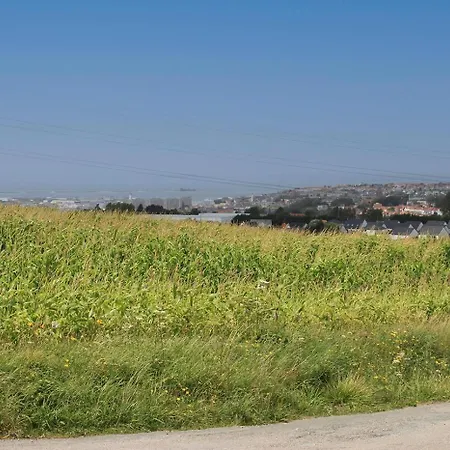 Domaine Caloin - Cinema